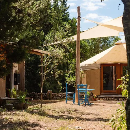 Forest Yurt * ליקסורי